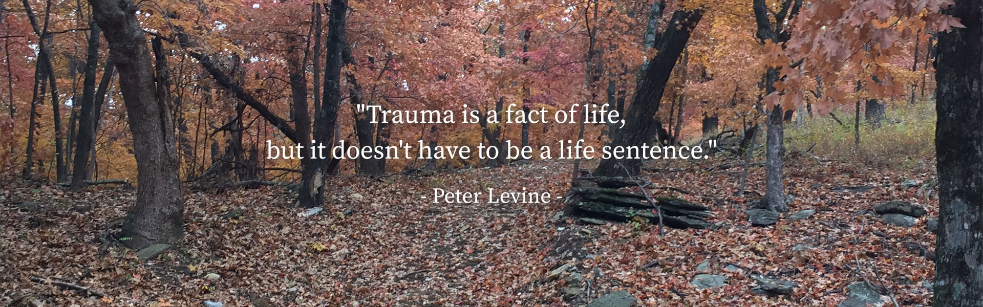 Individual & Family Therapy Services Claremore, Oklahoma